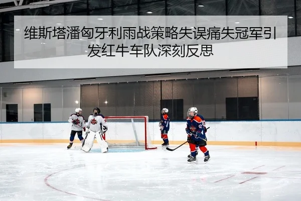 维斯塔潘匈牙利雨战策略失误痛失冠军引发红牛车队深刻反思